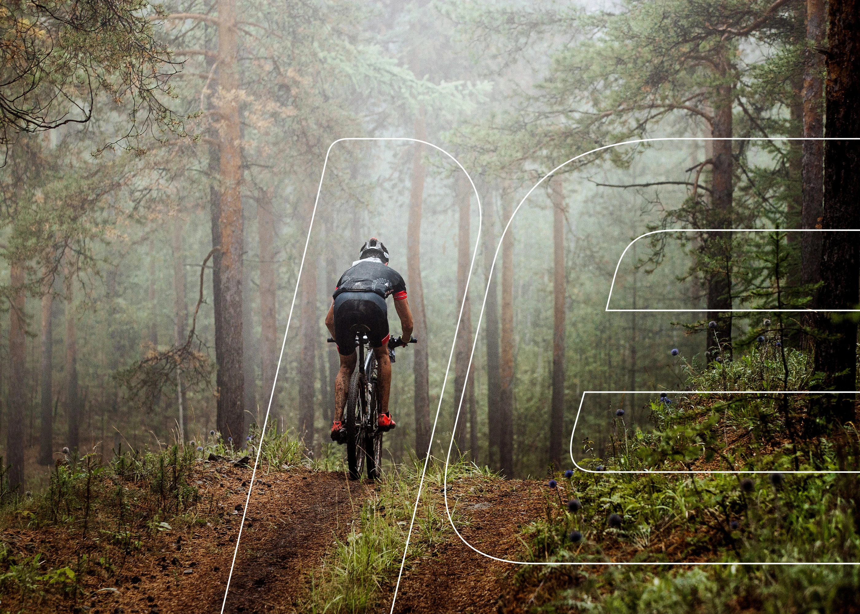 Pedalchi brand identity visual 2.2